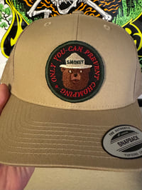 Image 2 of Chompers Hat