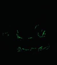 Image 2 of PREY