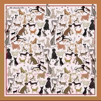 Image 3 of PREVENTA Pañuelo CHUCHOS FEAPOS