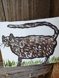 Image 3 of Cat