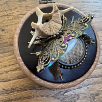 Image 1 of Snake skin  vertebrae  beetle (c, 4 inches)