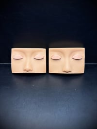 Half Mannequin Head