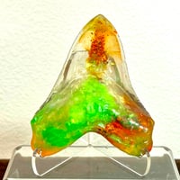 Lcfr Spirit Meg Tooth 4.56” Halloween1 25