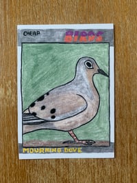 Mourning Dove. Single Card. 