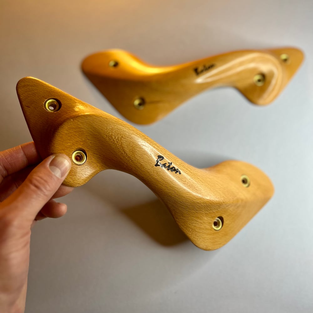 Beech Antlers