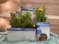 Image 3 of Moss Rose in Antique Chinese House