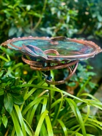 Image 1 of 💧🦜🍃Pretty Wings Birdbath🍃🦜💧
