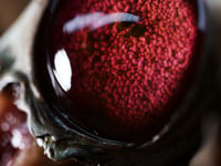 Image 8 of Crimson Oracle Snaggletooth Pendant OOAK