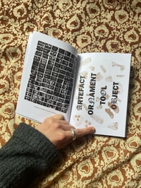 Image 4 of 'An investigation into The Noseless Saint' publication