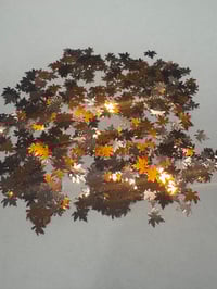 Image 2 of FALL Leaf Jar .05 oz