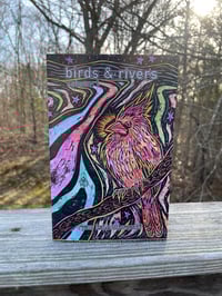 Image 3 of Birds & Rivers Volume 1