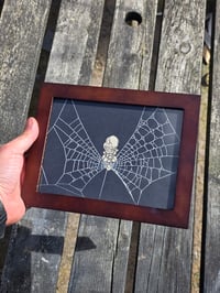 Image 1 of Cat Collection - Cat engravings with real preserved web- Q