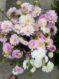 Image 2 of Blooming Bucket 