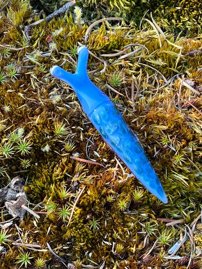 Image of Blue Sparkle Boro Slug