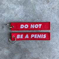 Image 1 of DO NOT BE A PENIS flight tag