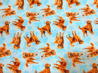 Image 18 of Dog Scrub Hats