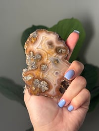 Image 2 of DOUBLE SIDED LAGUNA AGATE SLICE H