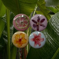 Image 1 of Flora Paradise