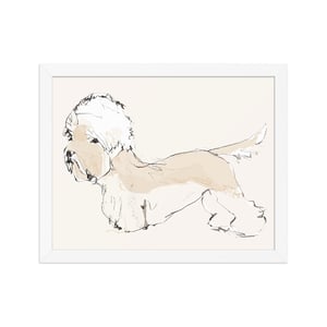 Image of DANDIE DINMONT TERRIER