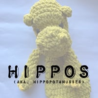 Image 1 of Hippos