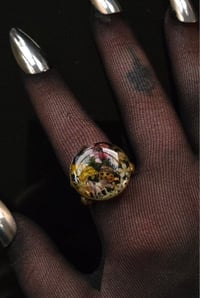 Image 1 of Ladybird scene brass jumbo ring