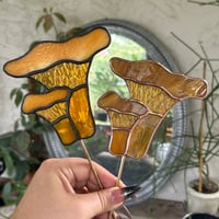 Image 2 of Chanterelle Mushroom Plant Stake