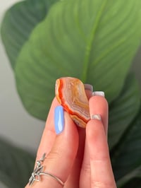 Image 2 of TUMBLED AGATE #54 -MALAWI-