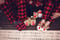 Image of Hot Cocoa Bar Winter Minis