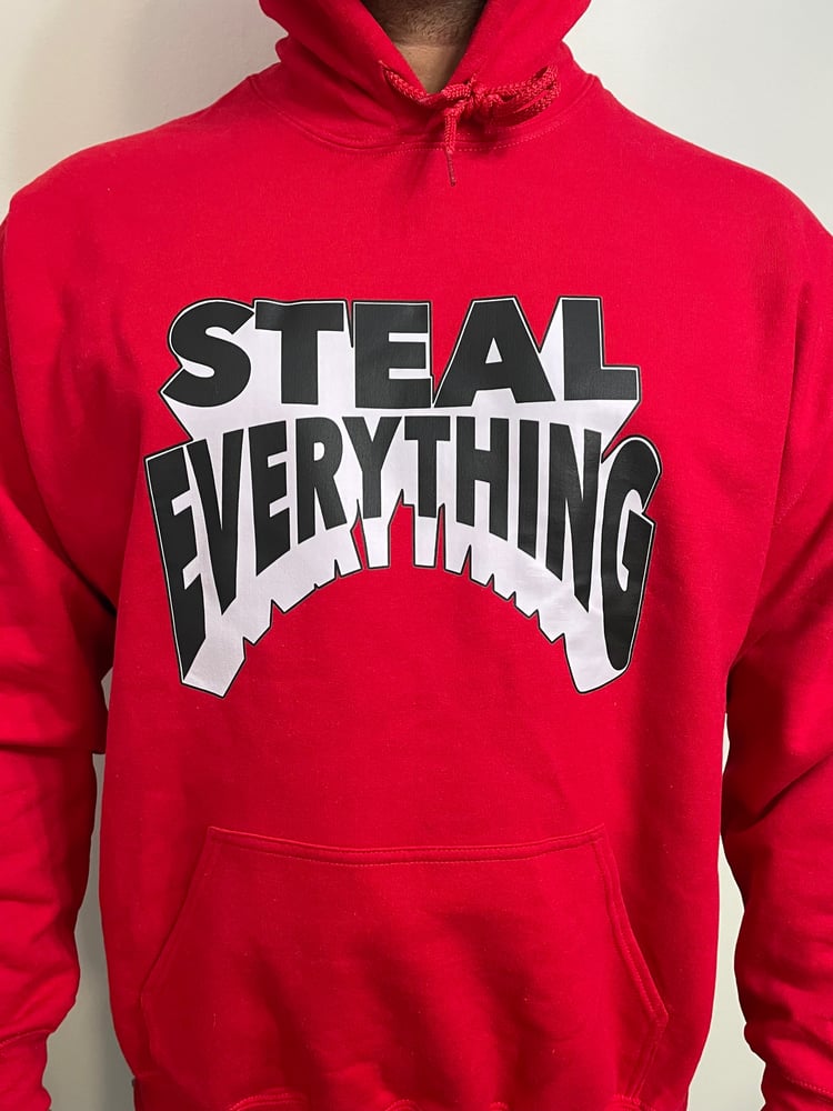 Image of STEAL EVERYTHING