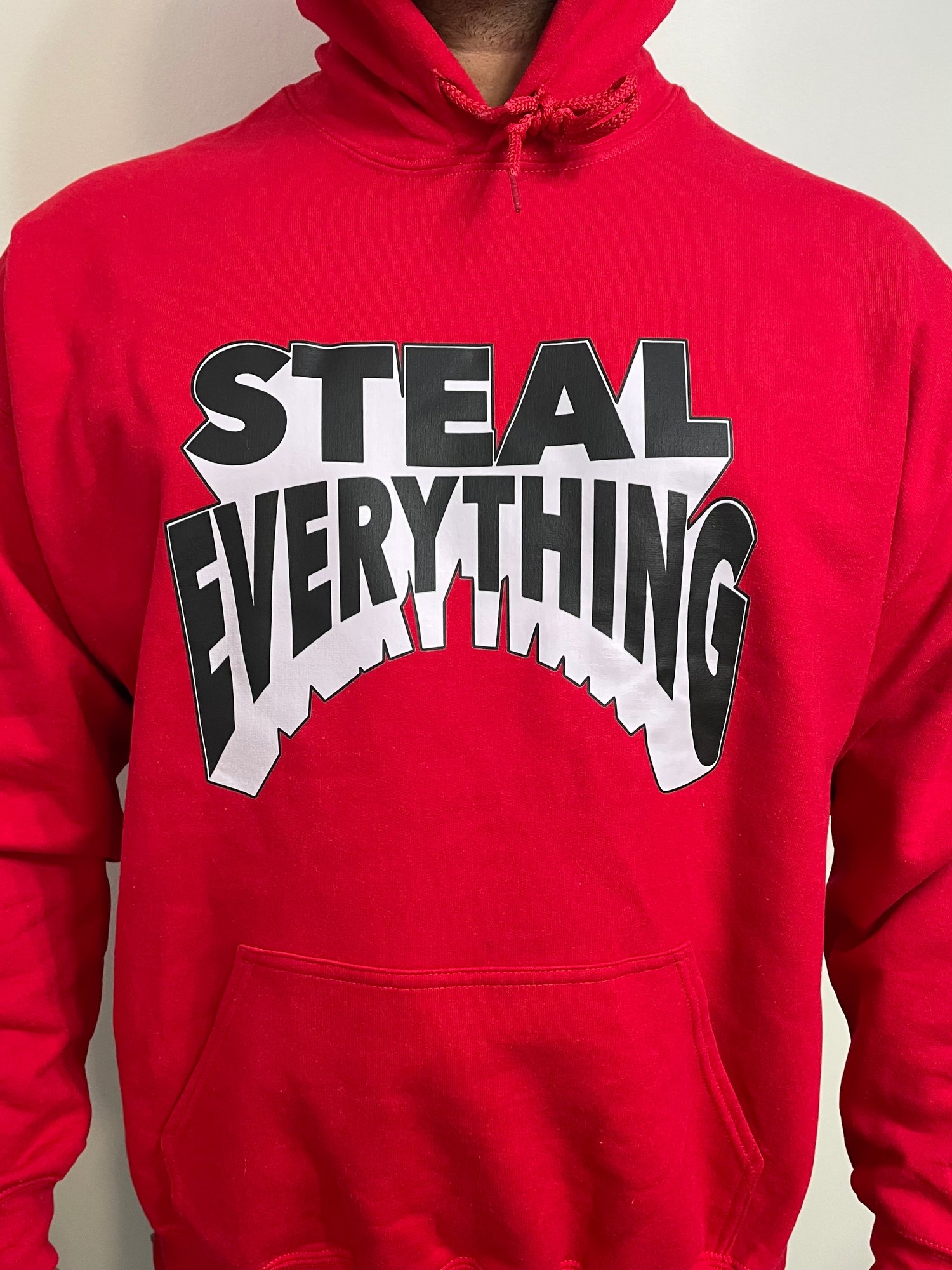 Image of STEAL EVERYTHING