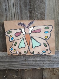 Image 13 of Moth 