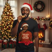 Image 2 of "Dear Santa, We Can Explain!" Matching Family Tees