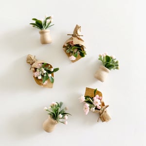 Image of Dollhouse Flowers