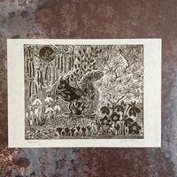 Image 1 of February Brown