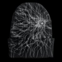 Image 2 of Tendril Beanie 