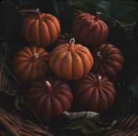 Spiced Pumpkins 
