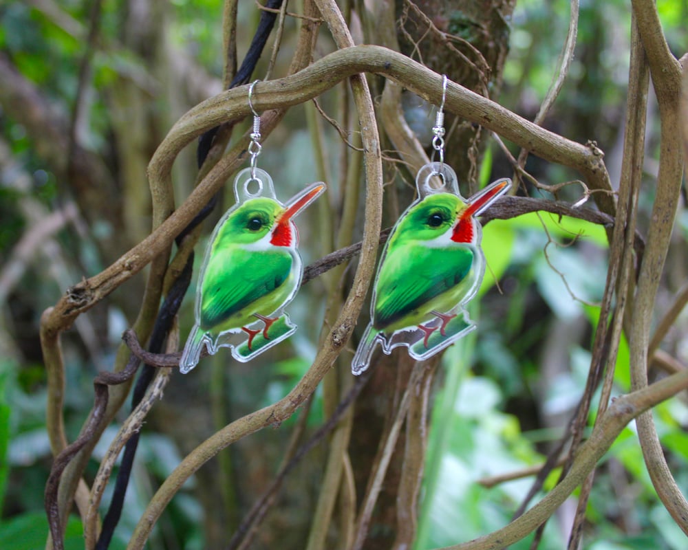 San Pedrito Earrings | Puerto Rican Tody