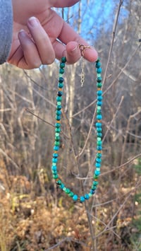 Image 1 of Swamp Witch Necklace