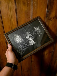 Image 5 of 1800s Gustave Dore Spiders - with real preserved webs -B