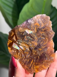 Image 9 of NATURAL RAINBOW IRIDESCENT CUBIC FLUORITE -CHINA- F