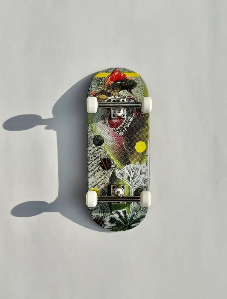 Image of Venus Flytrap complete