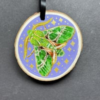 Image 7 of Moth Hand-Painted Wood Ornaments