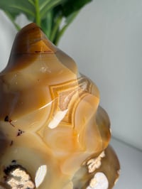 Image 3 of XXL MOODY CARNELIAN FLAME -MADAGASCAR-