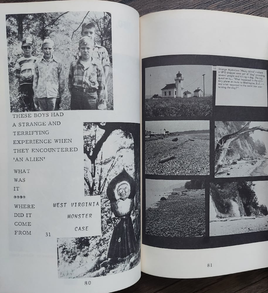 The Stranger at the Pentagon, by Frank E. Stranges