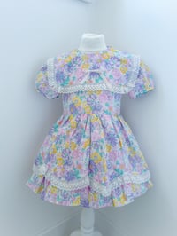 Image 3 of Sugar Pie - 4 years 