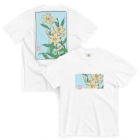 Image 2 of Lilies & Lullabies