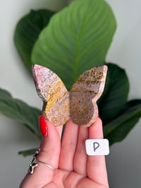 Image 4 of CHOOSE YOUR OWN UNICORN JASPER BUTTERFLIES