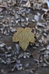 Image 1 of Sycamore leaf 