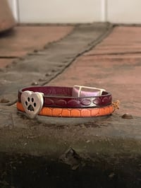Image 7 of Pawsome
