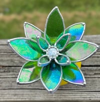 Image 2 of Irid green succulent 